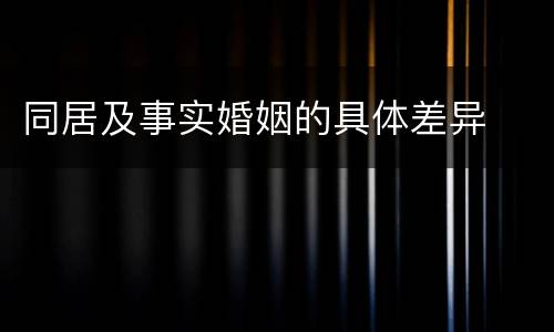 同居及事实婚姻的具体差异