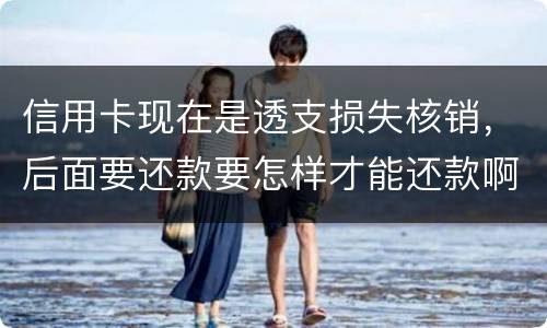 信用卡现在是透支损失核销，后面要还款要怎样才能还款啊