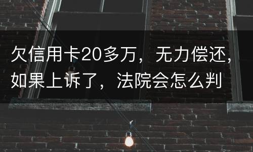 欠信用卡20多万，无力偿还，如果上诉了，法院会怎么判