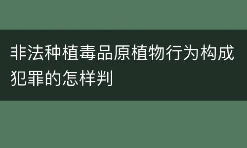 非法种植毒品原植物行为构成犯罪的怎样判