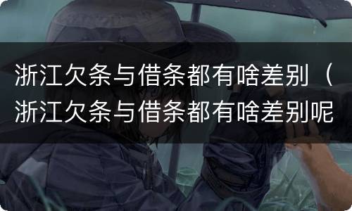 浙江欠条与借条都有啥差别（浙江欠条与借条都有啥差别呢）