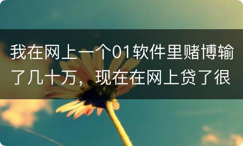 我在网上一个01软件里赌博输了几十万，现在在网上贷了很多网贷，还不起了，怎么办