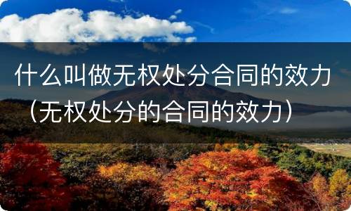 什么叫做无权处分合同的效力（无权处分的合同的效力）