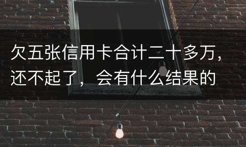 欠五张信用卡合计二十多万，还不起了，会有什么结果的