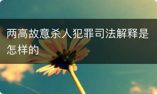 两高故意杀人犯罪司法解释是怎样的