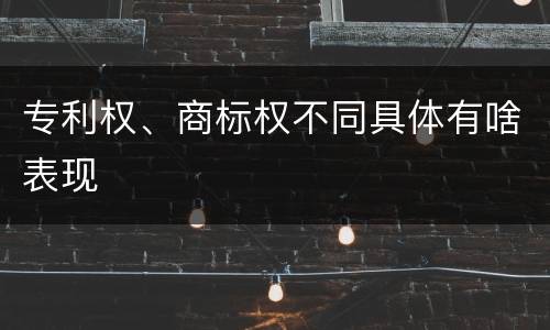 专利权、商标权不同具体有啥表现