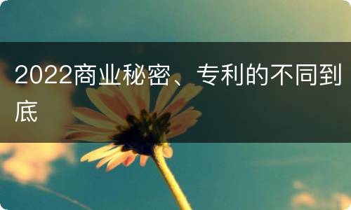 2022商业秘密、专利的不同到底