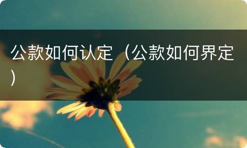 公款如何认定（公款如何界定）