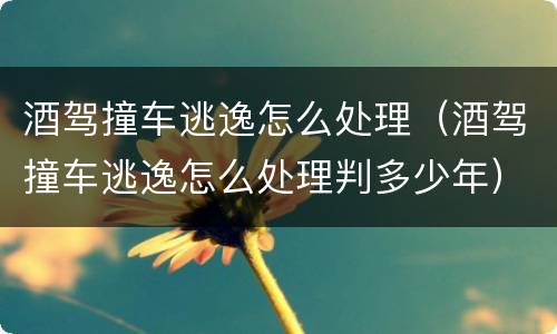 酒驾撞车逃逸怎么处理（酒驾撞车逃逸怎么处理判多少年）