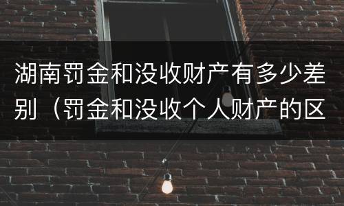 湖南罚金和没收财产有多少差别（罚金和没收个人财产的区别）