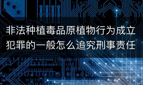 非法种植毒品原植物行为成立犯罪的一般怎么追究刑事责任