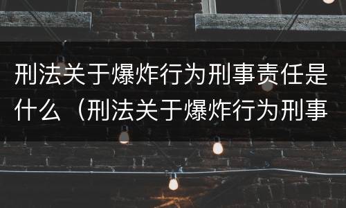 刑法关于爆炸行为刑事责任是什么（刑法关于爆炸行为刑事责任是什么意思）