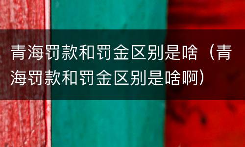 青海罚款和罚金区别是啥（青海罚款和罚金区别是啥啊）