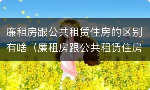 廉租房跟公共租赁住房的区别有啥（廉租房跟公共租赁住房的区别有啥不一样）