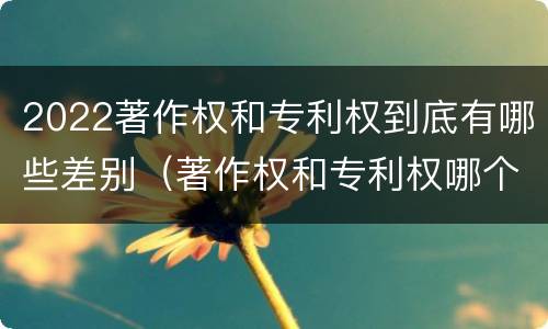 2022著作权和专利权到底有哪些差别（著作权和专利权哪个更重要）
