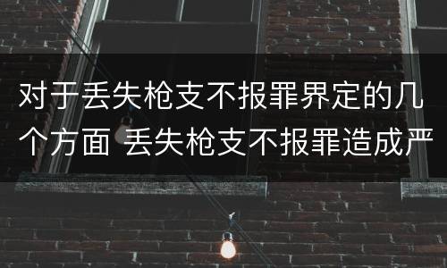 对于丢失枪支不报罪界定的几个方面 丢失枪支不报罪造成严重后果