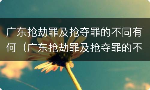 广东抢劫罪及抢夺罪的不同有何（广东抢劫罪及抢夺罪的不同有何区别）