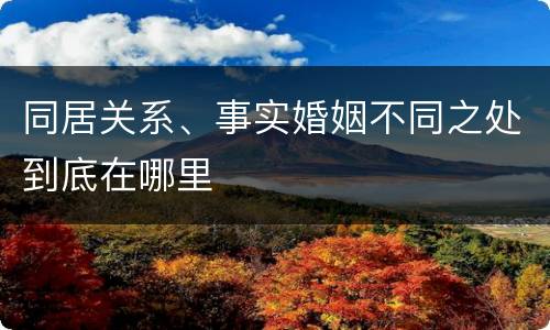 同居关系、事实婚姻不同之处到底在哪里
