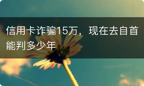 信用卡诈骗15万，现在去自首能判多少年