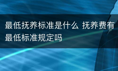 最低抚养标准是什么 抚养费有最低标准规定吗