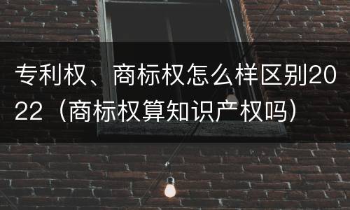 专利权、商标权怎么样区别2022（商标权算知识产权吗）