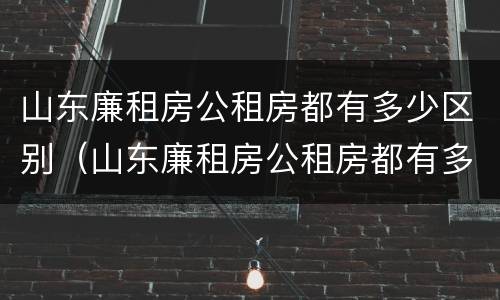 山东廉租房公租房都有多少区别（山东廉租房公租房都有多少区别啊）