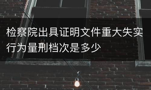 检察院出具证明文件重大失实行为量刑档次是多少