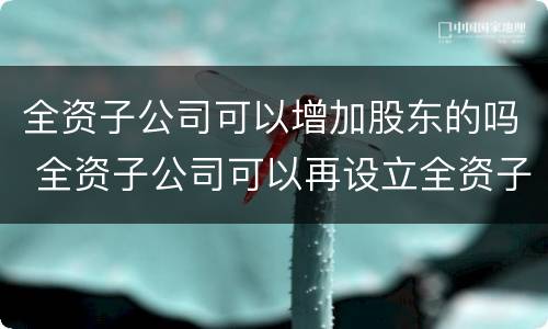 全资子公司可以增加股东的吗 全资子公司可以再设立全资子公司吗