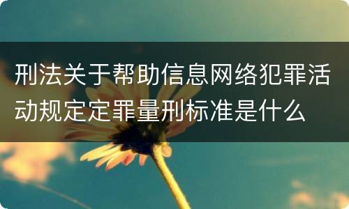 刑法关于帮助信息网络犯罪活动规定定罪量刑标准是什么