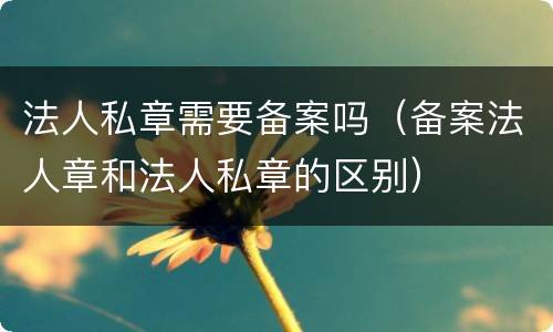 法人私章需要备案吗（备案法人章和法人私章的区别）