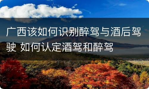 广西该如何识别醉驾与酒后驾驶 如何认定酒驾和醉驾