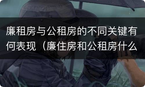 廉租房与公租房的不同关键有何表现（廉住房和公租房什么意识）