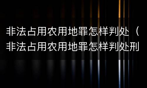 非法占用农用地罪怎样判处（非法占用农用地罪怎样判处刑期）