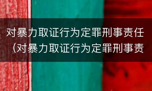 对暴力取证行为定罪刑事责任（对暴力取证行为定罪刑事责任追究）