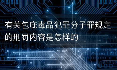 有关包庇毒品犯罪分子罪规定的刑罚内容是怎样的