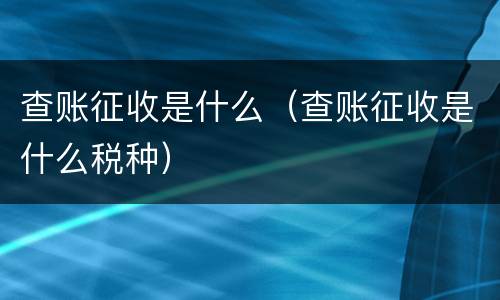 查账征收是什么（查账征收是什么税种）