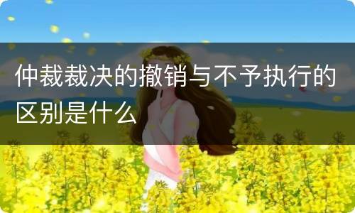 仲裁裁决的撤销与不予执行的区别是什么