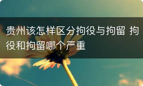 贵州该怎样区分拘役与拘留 拘役和拘留哪个严重