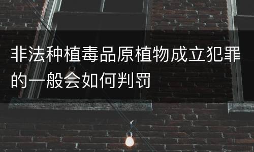 非法种植毒品原植物成立犯罪的一般会如何判罚