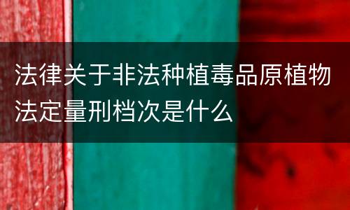 法律关于非法种植毒品原植物法定量刑档次是什么