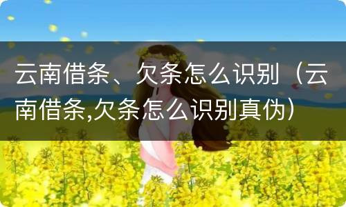 云南借条、欠条怎么识别（云南借条,欠条怎么识别真伪）