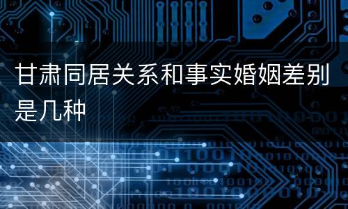 甘肃同居关系和事实婚姻差别是几种