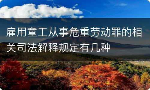 雇用童工从事危重劳动罪的相关司法解释规定有几种