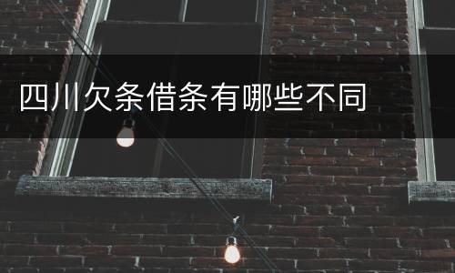 四川欠条借条有哪些不同