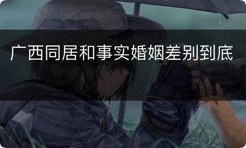 广西同居和事实婚姻差别到底