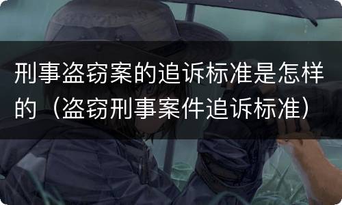 刑事盗窃案的追诉标准是怎样的（盗窃刑事案件追诉标准）