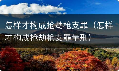 怎样才构成抢劫枪支罪（怎样才构成抢劫枪支罪量刑）