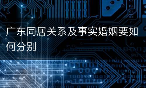 广东同居关系及事实婚姻要如何分别