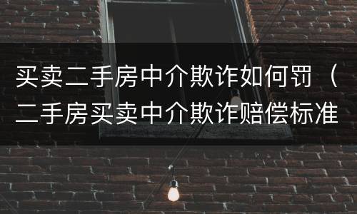 买卖二手房中介欺诈如何罚（二手房买卖中介欺诈赔偿标准）