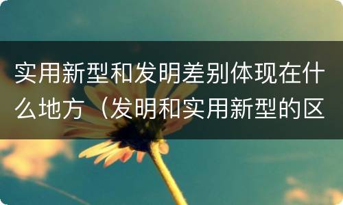 实用新型和发明差别体现在什么地方（发明和实用新型的区别和联系有什么）